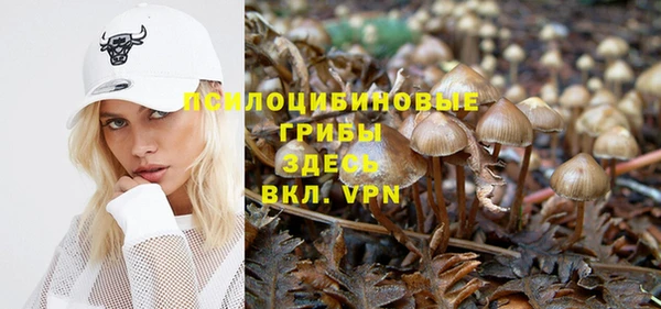 синтетический гашиш Бородино