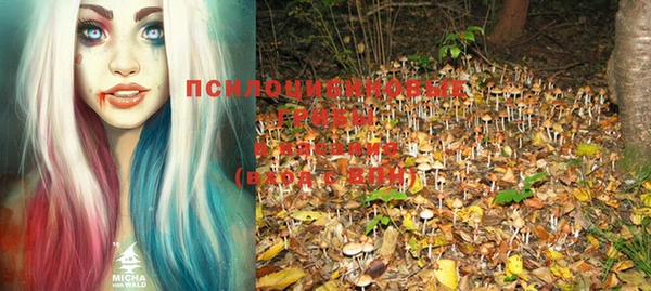 синтетический гашиш Бородино