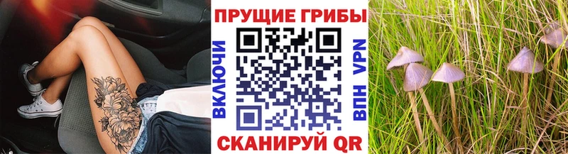 Купить  Спас-Клепики  Галлюциногенные грибы Psilocybe 